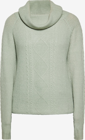 Usha - Jersey en verde: frente