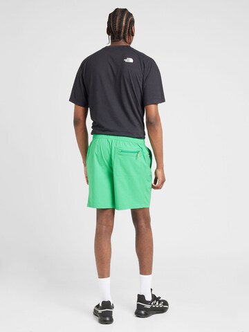 THE NORTH FACE Regular Sportshorts 'PATHFINDER in Grün