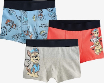 mėlyna Next Apatinės kelnaitės 'Paw Patrol': priekis