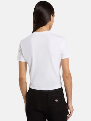 Maglietta 'DICKIES MAPLE VALLEY REG TEE W T-SHIRT' di DICKIES in bianco