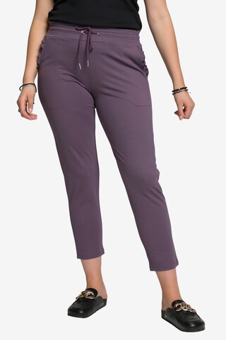 Studio Untold Regular Pants '809632' in Purple: front