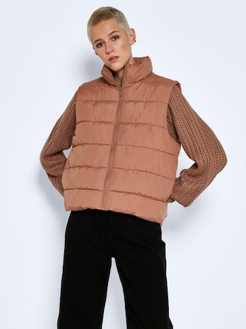 Noisy may Vest 'Marcus' in Brown: front