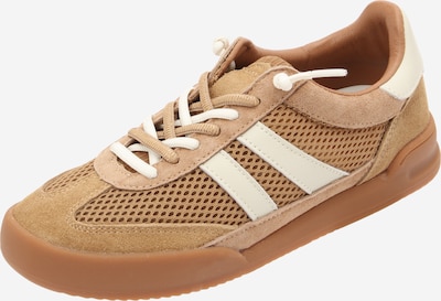 STEVE MADDEN Matalavartiset tennarit 'Verdict' värissä kameli / valkoinen, Tuotenäkymä