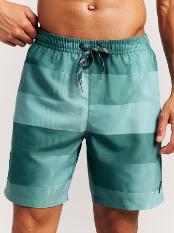 PROTEST Badeshorts 'PRTLomond'‌‌‌ in Grün