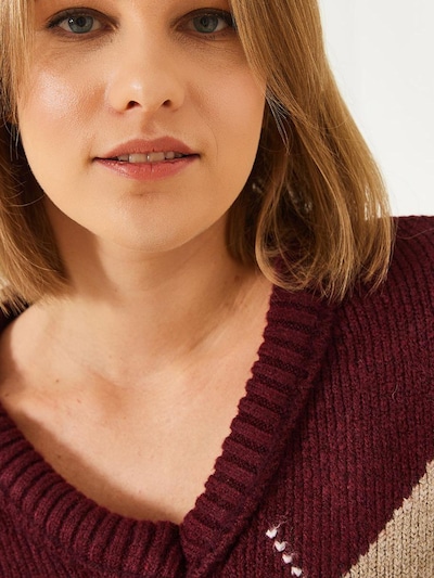 Bianco Lucci Sweater in Beige / Mocha / Burgundy / White, Item view