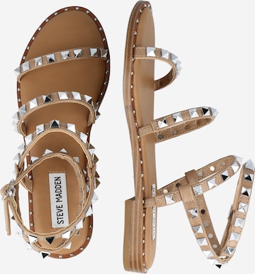 STEVE MADDEN Strap sandal 'TRAVEL' in Brown