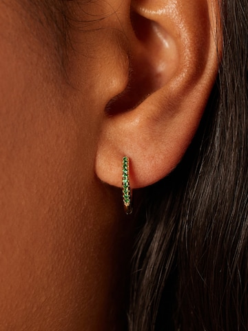 Lucardi Oorbellen in Goud: voorkant