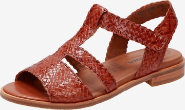 SIOUX Sandals ' Cosinda-702 ' in Brown: front