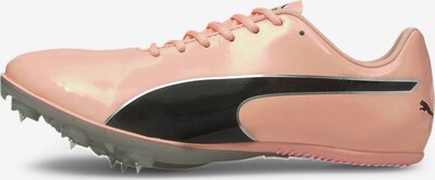 PUMA Laufschuh 'evoSPEED Sprint 10' in rosa / schwarz, Produktansicht
