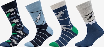 camano Socks in Mixed colors: front