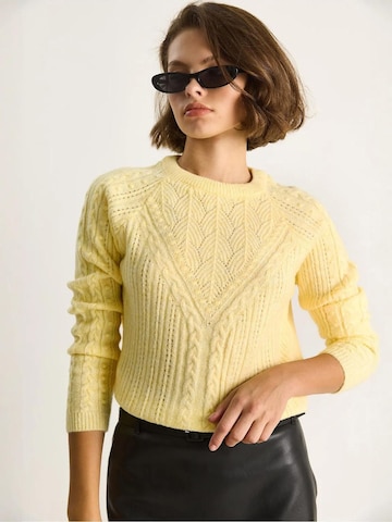 Bianco Lucci Pulover 'Pullover' | rumena barva