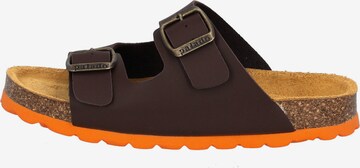 Palado Sandals & Slippers in Brown