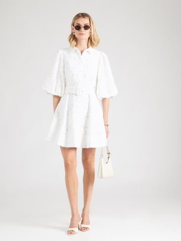 Ted Baker Kleid 'ANTYA' in Weiß