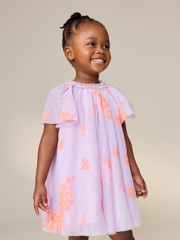 Next Kleid in Lila: Vorderseite