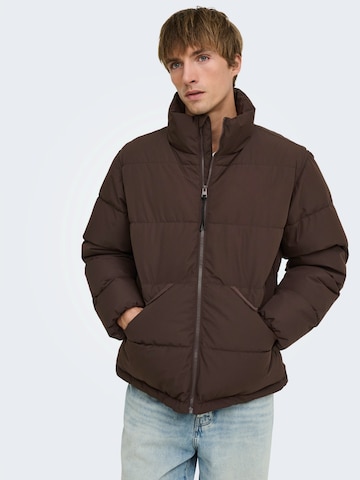 Only & Sons Χειμερινό μπουφάν 'ONSPack' σε καφέ