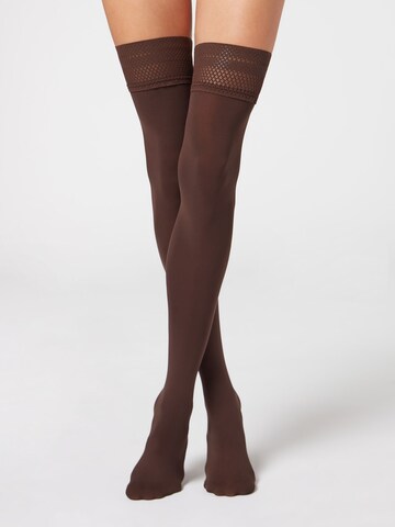 CALZEDONIA Feinstrümpfe in Braun: Vorderseite