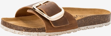 CAMEL ACTIVE Mules in Brown: front