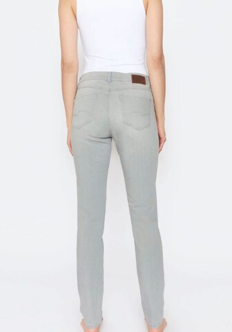 Skinny Jean Angels en gris