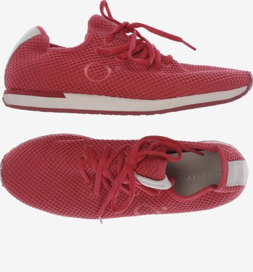 Marc O'Polo Sneaker 40 in Rot ABOUT YOU