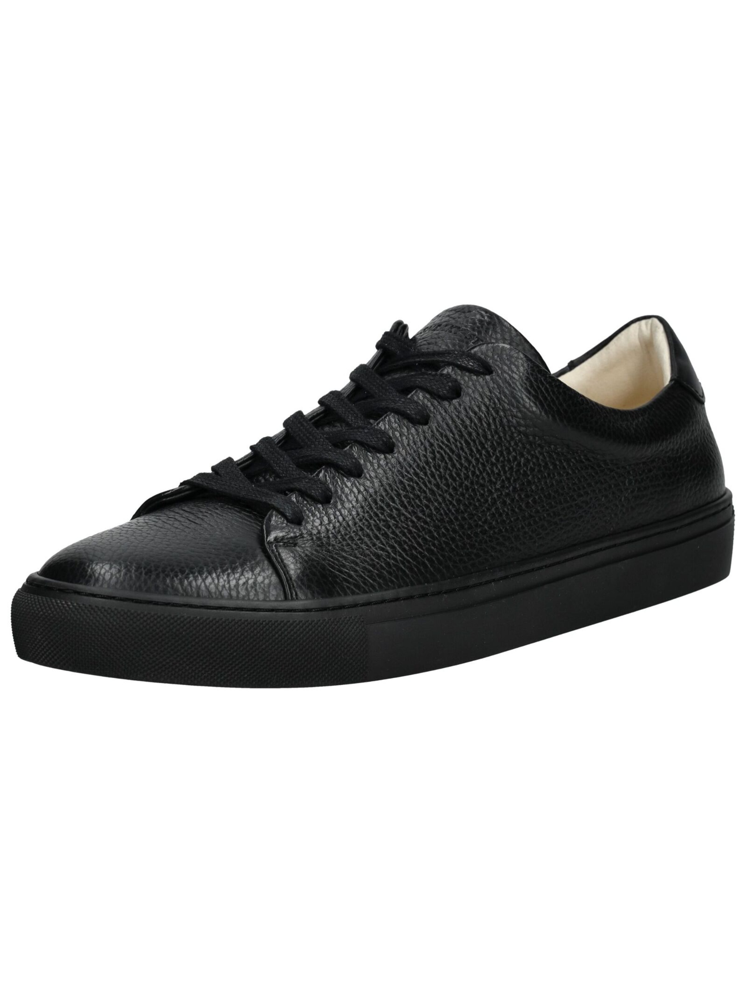 Baskets basses Sneaky Steve en noir : devant