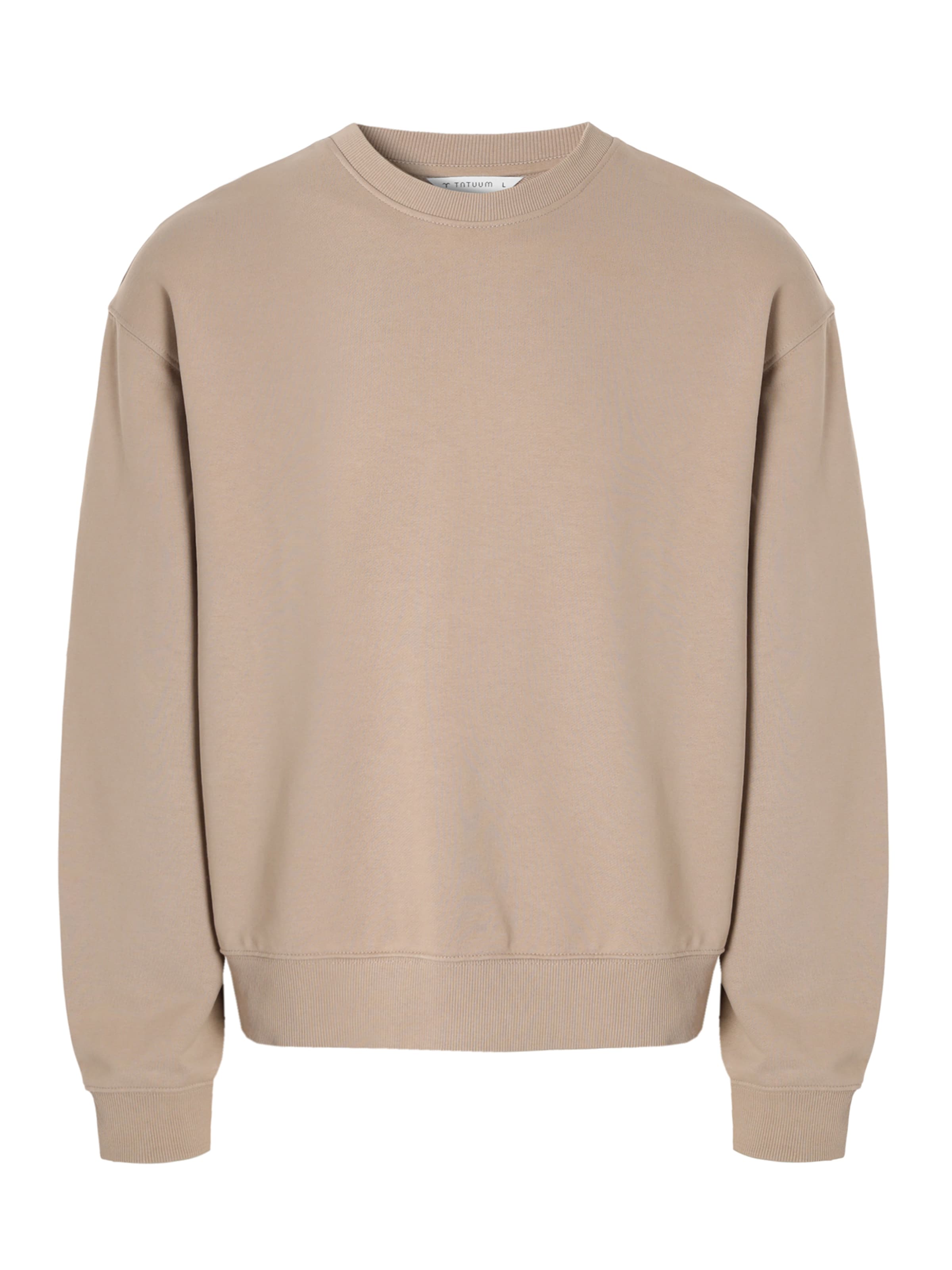 TATUUM Sweatshirt 'INIGO' in Brown: front
