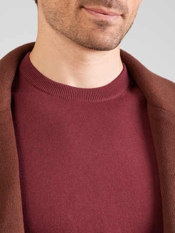 Pullover di HECHTER PARIS in rosso