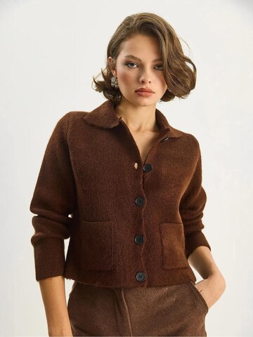 Cardigan Bianco Lucci en marron