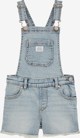 mėlyna WE Fashion Prigludęs Kombinezonas su petnešomis: priekis