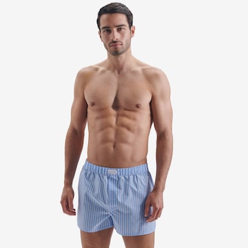 SEIDENSTICKER Boxer shorts in Blue