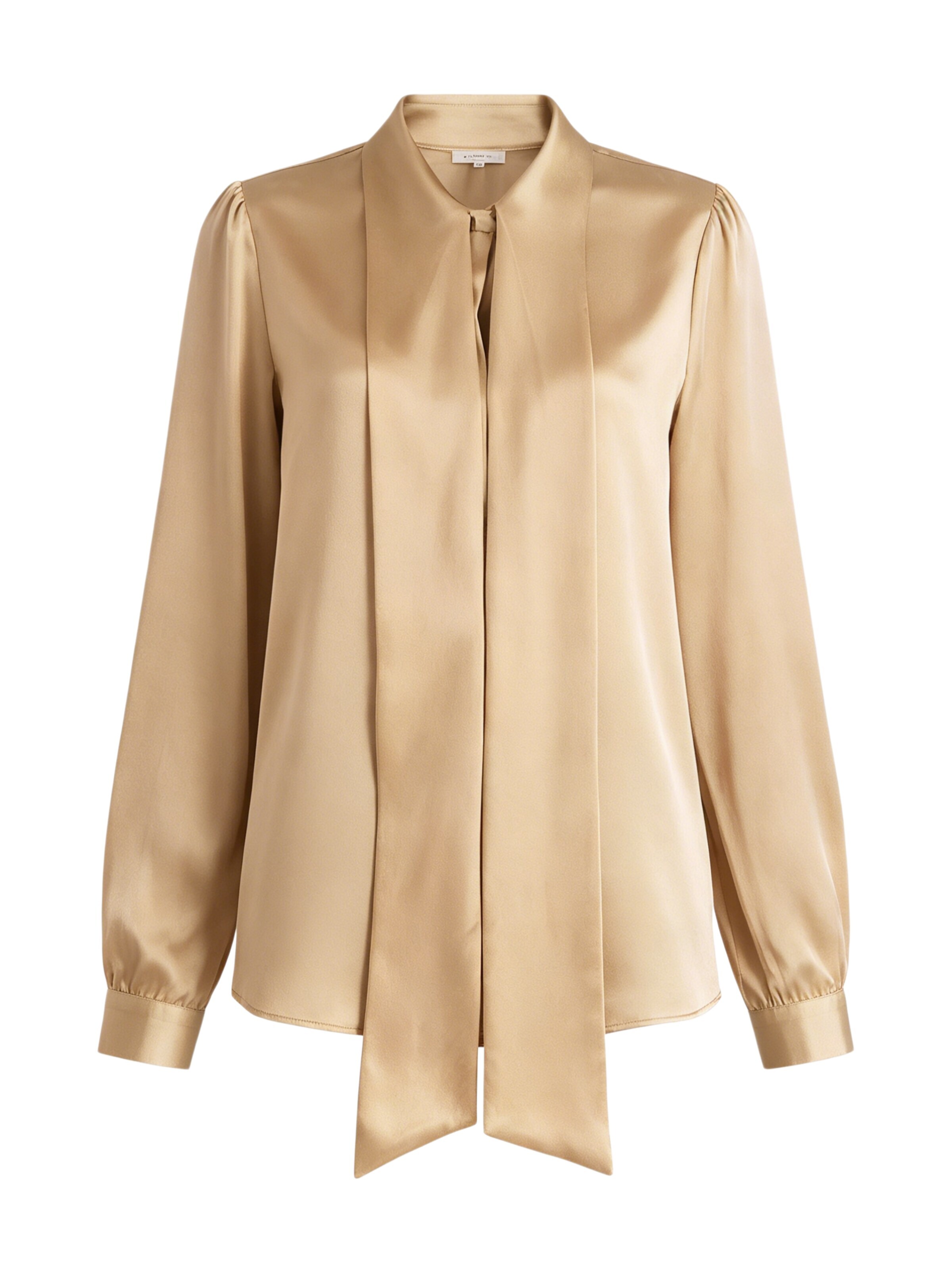 Lilysilk Blouse 'LILYSILK Seidenbluse mit Schleife' in Bruin: voorkant