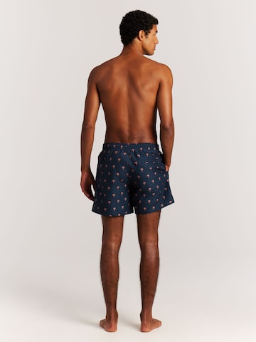 PROTEST Badeshorts 'PRTMascot'‌‌‌‌‌‌‌‌‌‌ in Blau