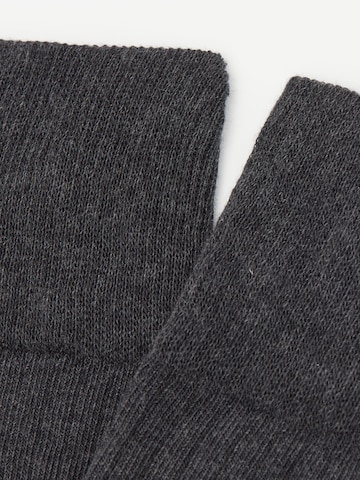 CALZEDONIA Over the Knee Socks in Grey