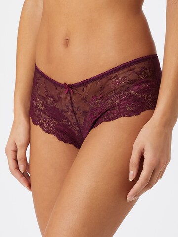 regular Panty di LASCANA in lilla: frontale