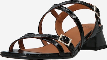 Billi Bi Sandały z rzemykami w kolorze czarny: przód