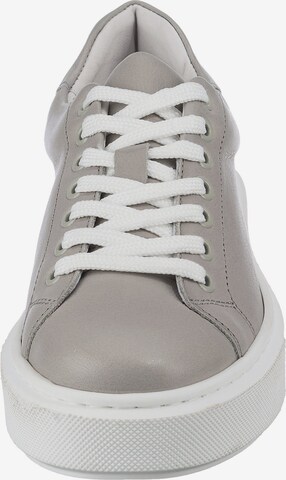 Apple of Eden Sneakers in Grey