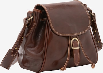 Viola Castellani Pouch in Brown: front