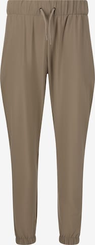 Athlecia Sports trousers 'Austberg' in Grey: front