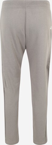 Tapered Pantaloni sportivi di 4F in grigio