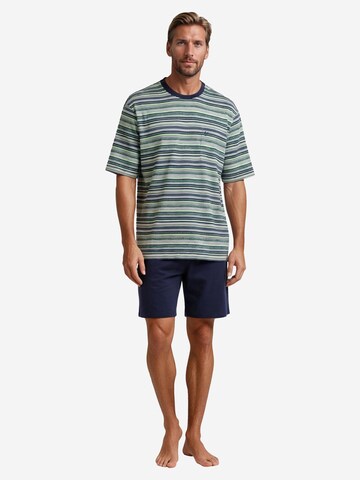 HAJO Pyjama kort 'Premium Cotton' in Groen