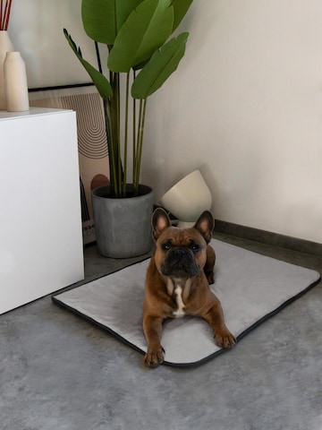 Aspero Pet accessories 'Hanko Und Lund' in Grey
