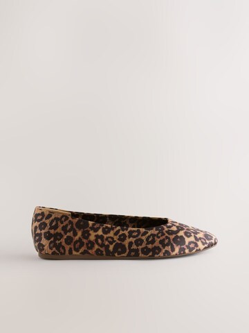 Next Ballerina in Bruin