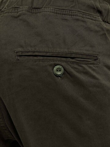Regular Pantalon cargo '16610' Tazzio en vert