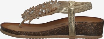 IGI&CO Teenslipper in Goud