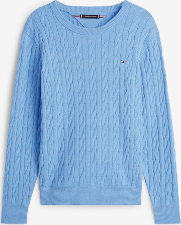 TOMMY HILFIGER Sweater in Blue: front