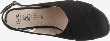 ARA T-Bar Sandals in Black