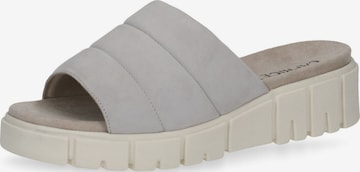 CAPRICE Mules in Grey: front