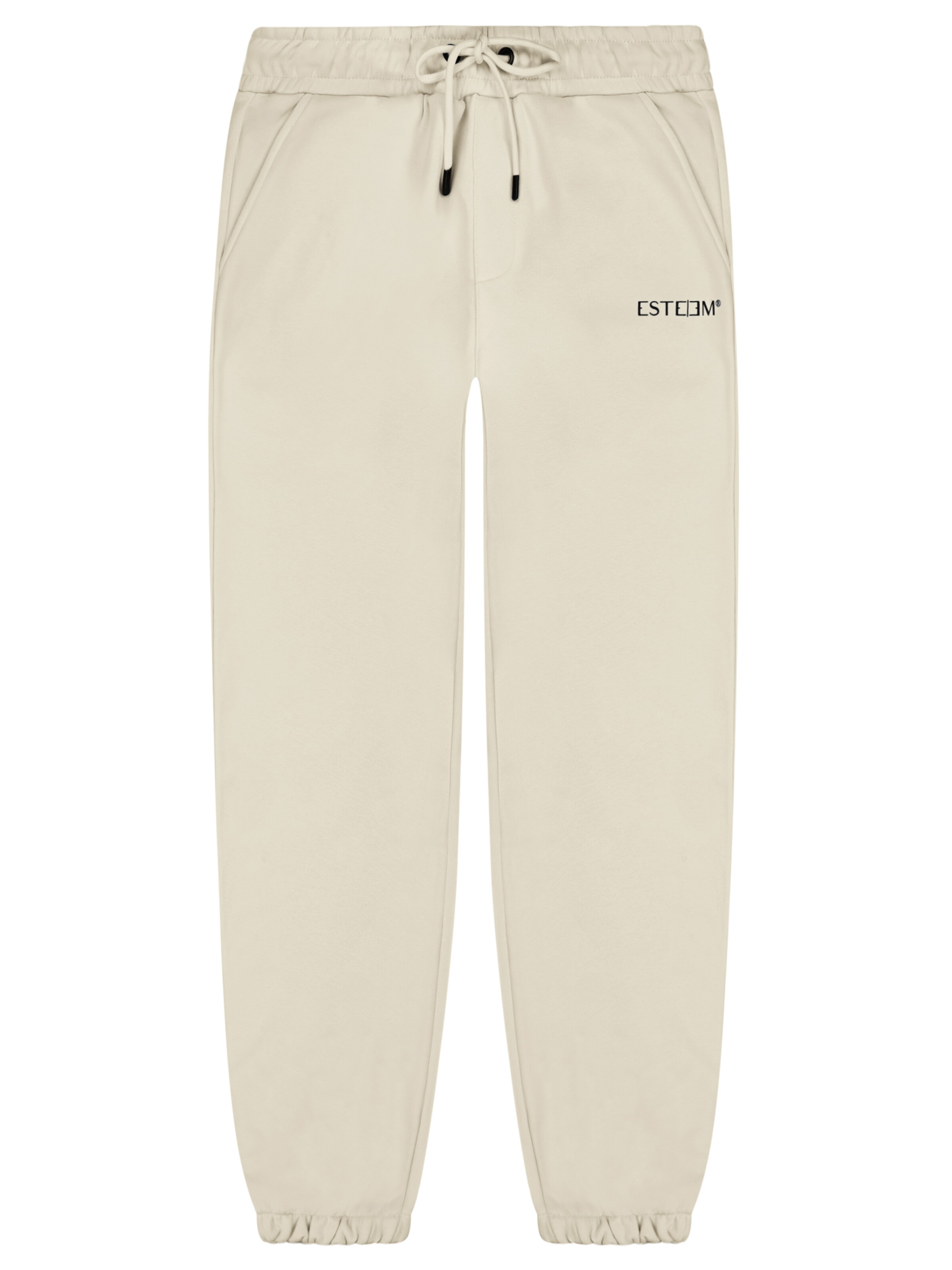 Pantalon ESTEEM en beige : devant