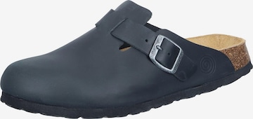 DR. BRINKMANN Clogs 'Nerpio' in Schwarz: Vorderseite