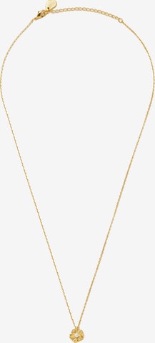 Estella Bartlett Necklace in Gold: front