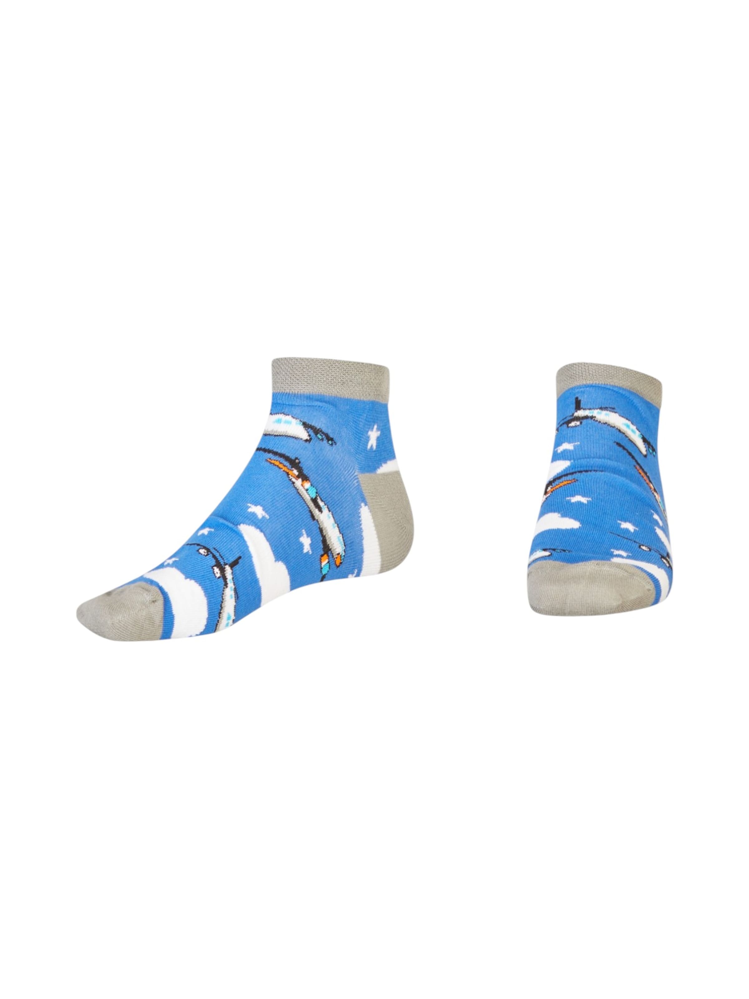 AbgeStrumpft Socks 'Flugzeug' in Blue: front